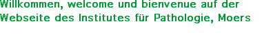 Willkommen, welcome und bienvenue auf der Webseite des Institutes f&uuml;r Pathologie, Moers